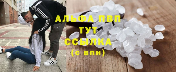 ГАЛЛЮЦИНОГЕННЫЕ ГРИБЫ Белокуриха