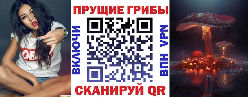 Псилоцибиновые грибы Psilocybe  Купить закладки  Новокузнецк 